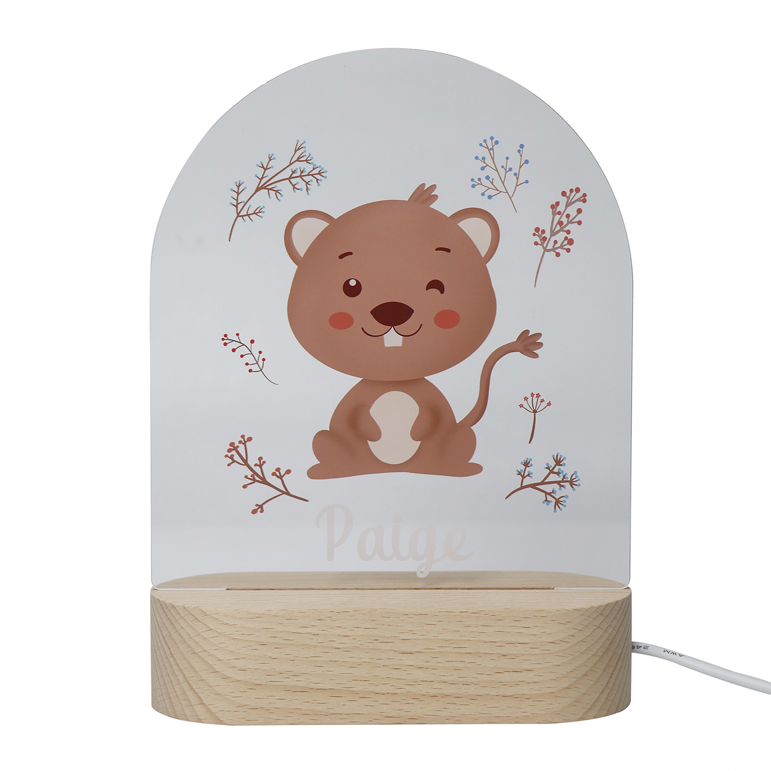 Süße Tiere Acryl uV Nachtlicht 