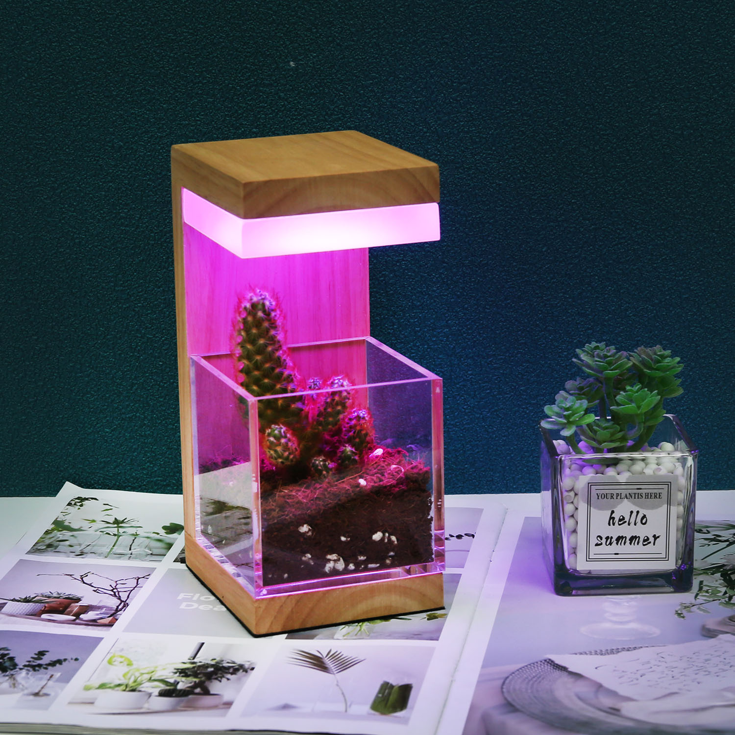 RGB 7 Farben HolzlED -Pflanze wachsen Licht 