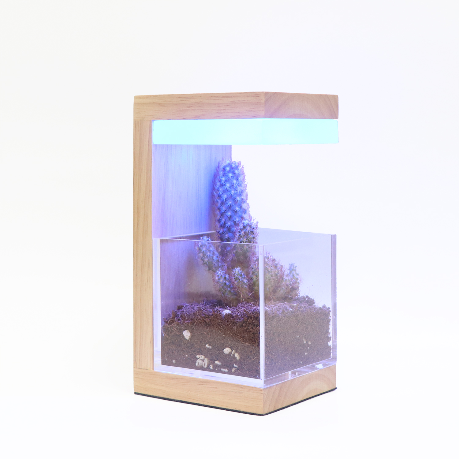 RGB 7 Farben HolzlED -Pflanze wachsen Licht 