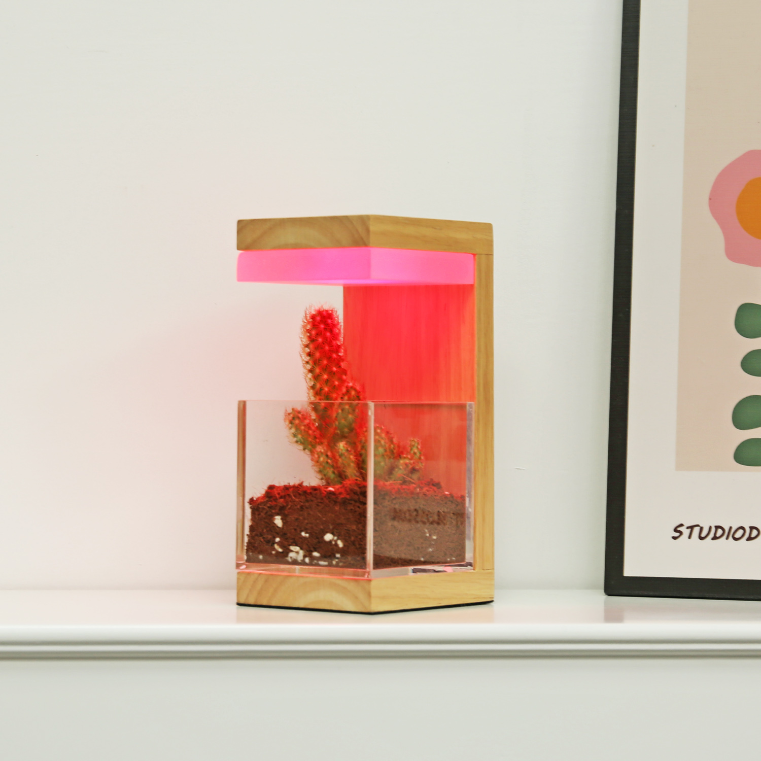 RGB 7 Farben HolzlED -Pflanze wachsen Licht 