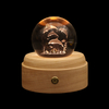 Marine Life Crystal Ball Night Light